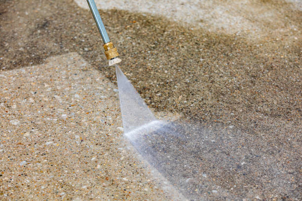 Best Pre-Holiday Cleaning  in Peralta, NM